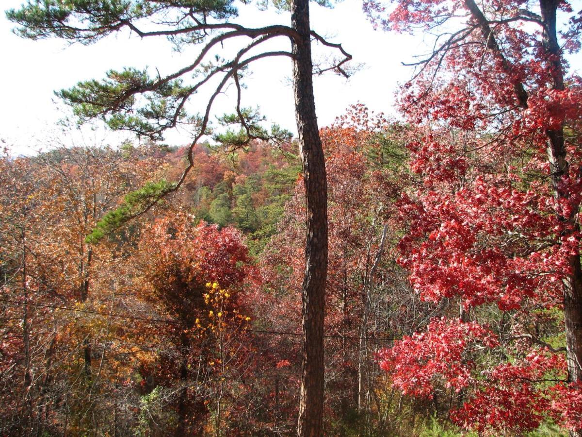 Sunset Ridge Cabin Pigeon Forge Ngoại thất bức ảnh